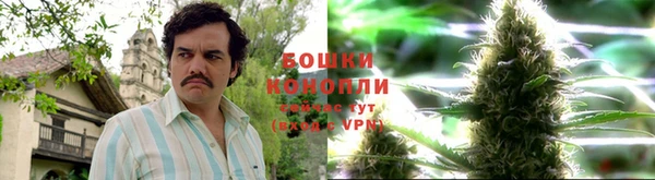 крисы Белокуриха