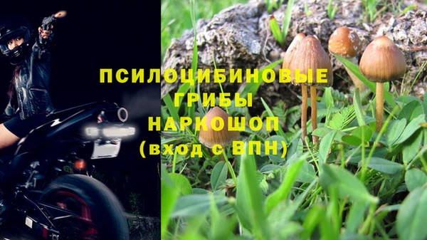 крисы Белокуриха