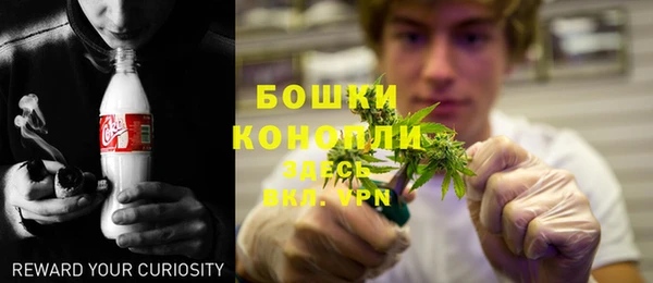 стаф Сатка