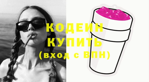индика Беломорск