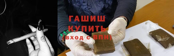 индика Беломорск