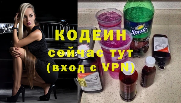 индика Беломорск