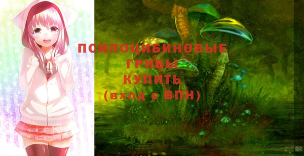 крисы Белокуриха