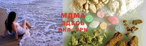 индика Беломорск