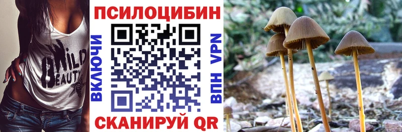 Галлюциногенные грибы мухоморы  Саяногорск 